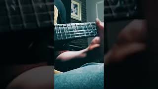 lindo afterlife prototype twelvefish666