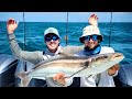 COBIA FISH {Catch/Clean/Cook}