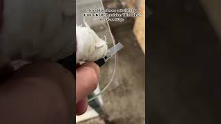 Precision Edge Trimming #GlassCutting #PrecisionWork #Trimming #Satisfying #GlassFabrication