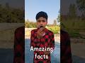 One amazing facts ##shortsvideo #ytshorts #shortfeeds