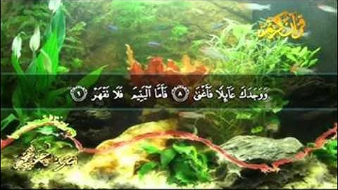 سورة الضحى رائعة  الشيخ محمد سعيد عجوط 2015