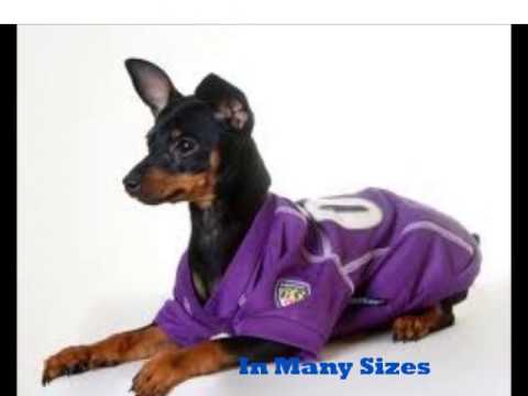 video phone beyonce mp3 Authentic NFL Team Jerseys for Dogs