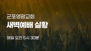 [군포영광교회] 2026년 8월 17일(월) 새벽예배 생중계