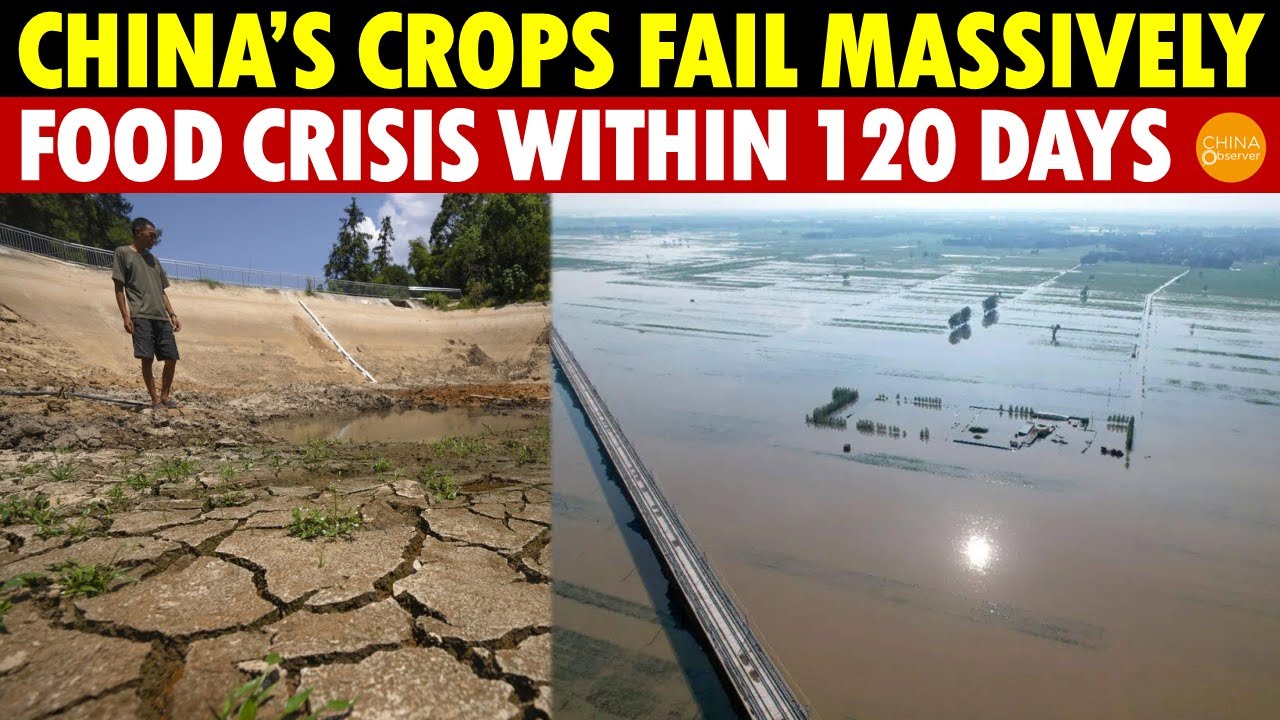 Multiple Disasters Trigger Widespread Crop Failure in China! Food ... Biology Diagrams