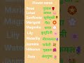 Flower name #english and Hindi #please #subscribe #me