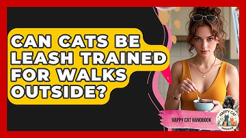 Can Cats Be Leash Trained For Walks Outside? - Happy Cat Handbook