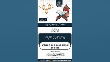 تلاوة رائعة للآية 145 من سورة الأنعام بصوت القارئ الشيخ أبي حمزة عيسى المصنف العتمي حفظه الله
