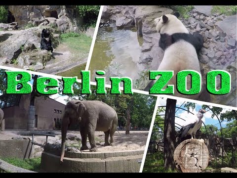 берлинский-зоопарк-🐘(berlin-zoo-2019):-краткий-обзор
