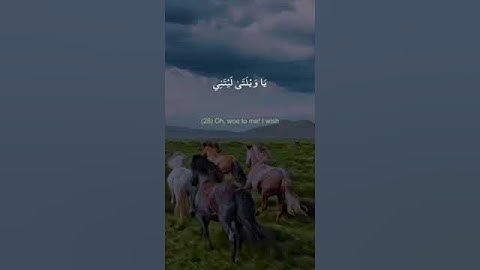 تلاوة خاشعة 💓 قران كريم  💓 ايات قرانيه  💓صوت جميل 💓 راحة نفسية 💓 حالات واتس اب دينية 💞✅