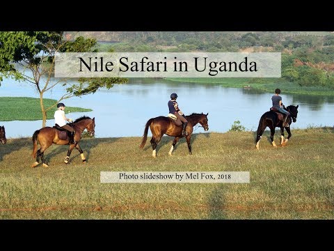 nile-safari-in-uganda