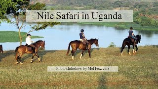 Nile Safari In Uganda