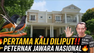 Download Lagu PERTAMA KALI DILIPUT‼️ RUMAH MEWAH PETERNAKAN MURAI JUARA NASIONAL🔥 BINTANG MURAI CIKARANG BIRDFARM MP3 Download Lagu PERTAMA KALI DILIPUT‼️ RUMAH MEWAH PETERNAKAN MURAI JUARA NASIONAL🔥 BINTANG MURAI CIKARANG BIRDFARM MP3