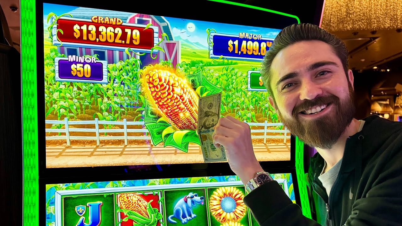 The Most UNBELIEVABLE Cash Crop Session! - YouTube
