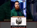Are the Descendants of Prophet Muhammad ﷺ Still Alive Today?