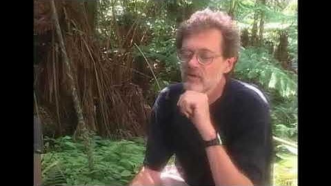 Terence McKenna 