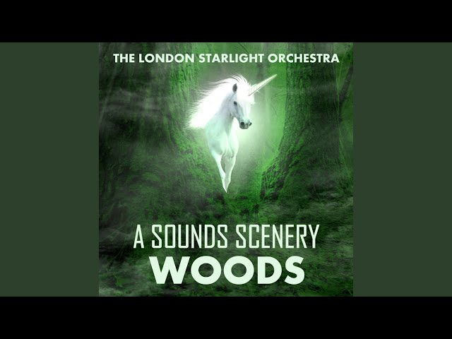 London Starlight Orchestra - The Fool On The Hill