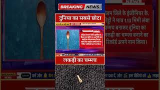 दुनिया का सबसे छोटा लकड़ी का चम्मच #dls news #today breaking news #shorts