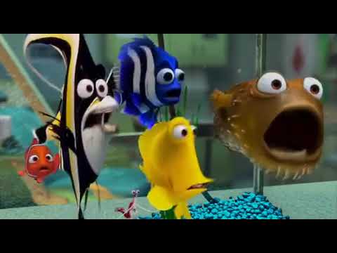 42381c7c 04d6 4d97 9d11 91dc18d77ad5Finding Nemo: Darla!