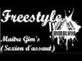 Sexion dassaut matre gims  freestyle himalaya