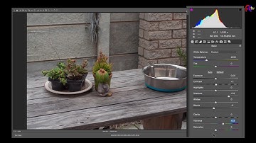 Photo Raw files opened directly into 