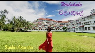 Walakule වලකල Sashri Akarsha Official Music Video
