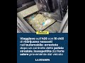 Viaggiava sull'A26 con 16 chili di marijuana nascosti nell'automobile arrestato