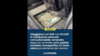 Viaggiava sull'A26 con 16 chili di marijuana nascosti nell'automobile arrestato