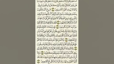 سورة التوبة من الآية ٨٠ إلى الآية ٨٦بصوت القارئ ماهر المعيقلي #غزة_الآن #NoOilForIsrael#