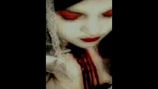 Cempaka hitam -tak abadi