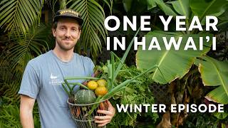 I Tried Growing Everything I Eat in Hawaiʻi (honest results) 02 - Winter Episode