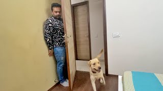 Came back from Jaipur and tricked Our Dog