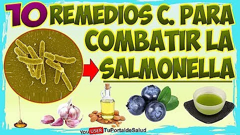 ¿Cómo eliminar la Salmonella del cuerpo de forma natural?