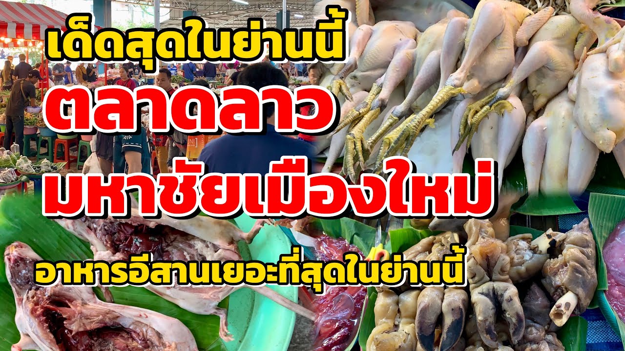 เด็ดสุดในย่านนี้!!!ตลาดลาวมหาชัยเมืองใหม่…หนูนา ไข่มดแดง ของป่าอาหารอีสานตามฤดูกาล