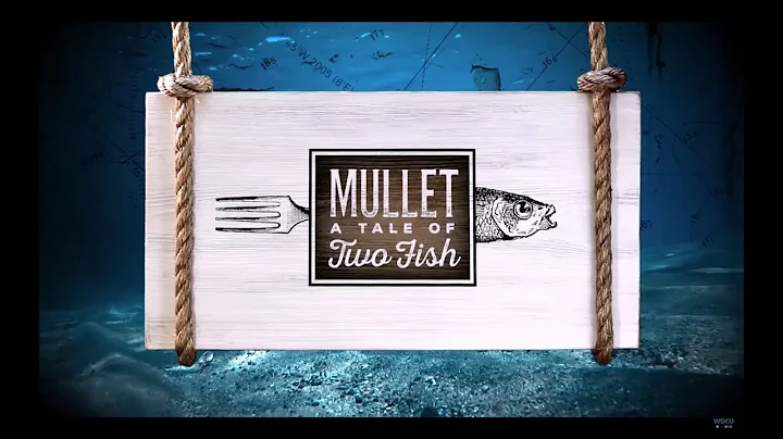 Mullet: A Tale of Two Fish - A WGCU Fishing Docume...