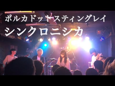 シンクロニシカ / ポルカドットスティングレイ コピー カバー バンド 軽音