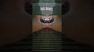tdk itu ilang
