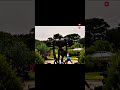 Guardian of the Sky Castle is REAL! Laputa Robot Soldier in Ghibli Museum | #Ghibli #ai #shorts #지브리