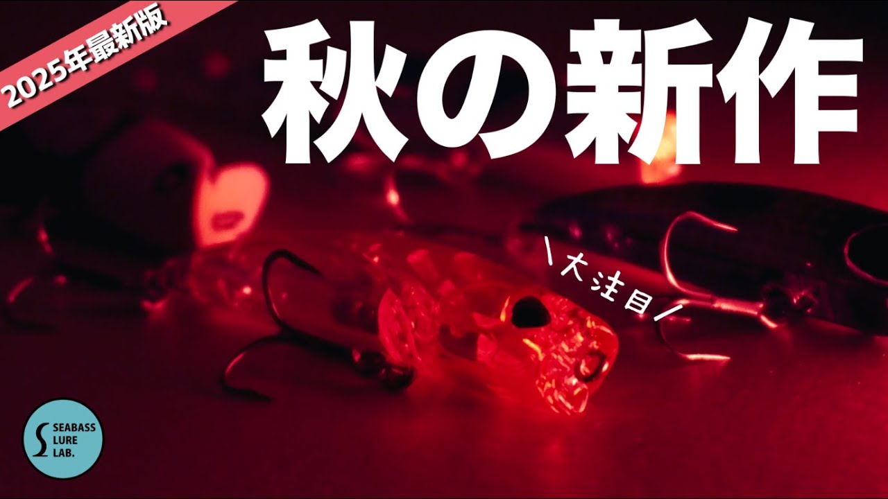 まとめ売り　22点　主にシーバス　ルアー　9／30までその後取り下げ まとめ売り 22点 主にシーバス ルアー 9／30までその後取り下げ まとめ