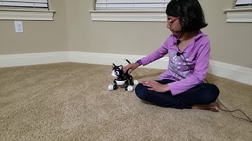 Zoomer Electronic Interactive Kitty Review