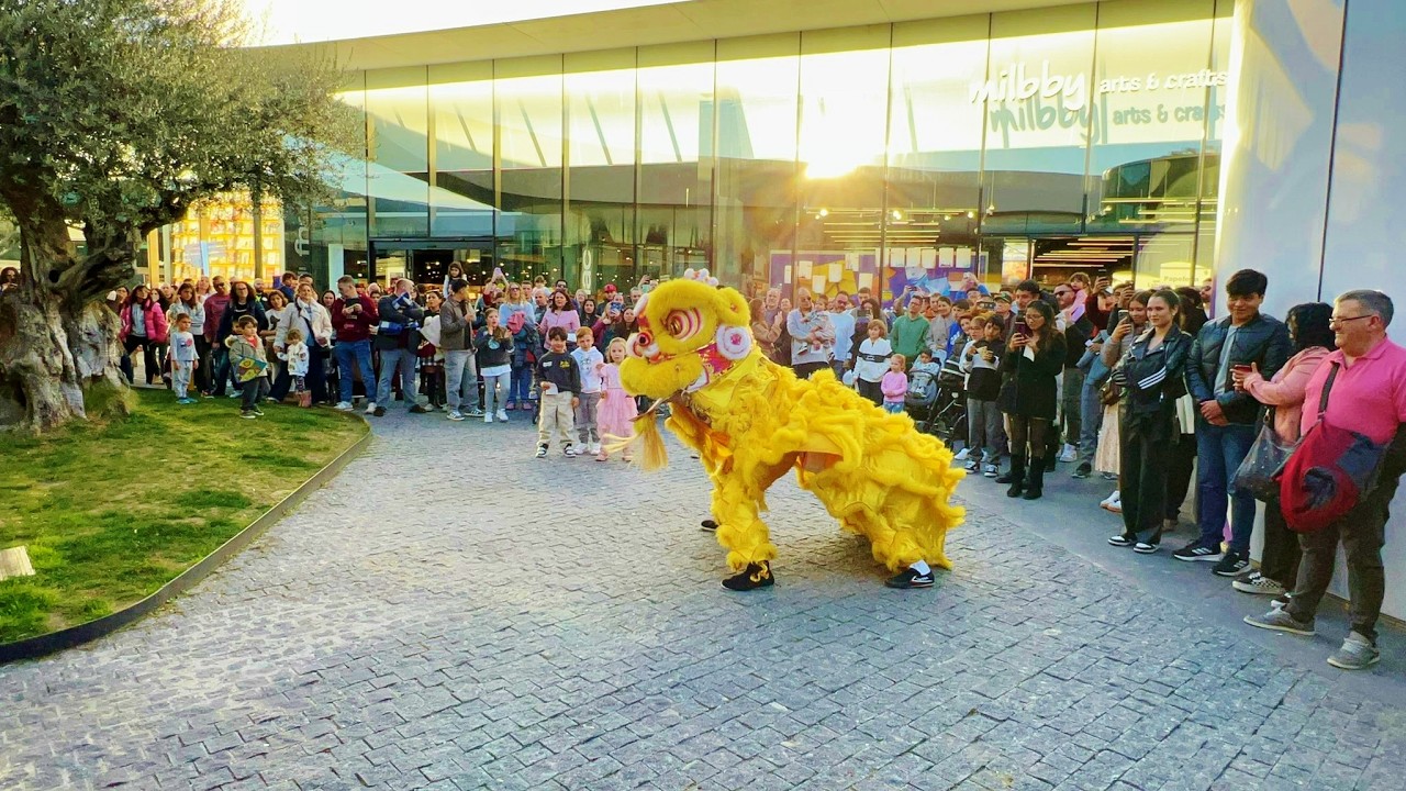 Año Nuevo Chino 2026 – Año del Caballo de Fuego  Yiting Wu