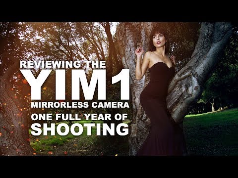 Reviewing the YIM1