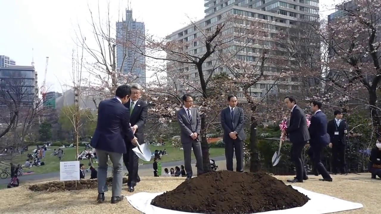 Cherry tree planting ceremony at Tokyo Midtown [RAW VIDEO] japanese food
