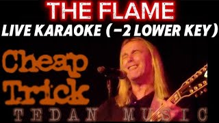 THE FLAME(-2Lower key)karaoke by Europe with back up vocals HD