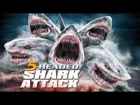 5 Basli Kopek Baligi 5 Headed Shark Attack 2017