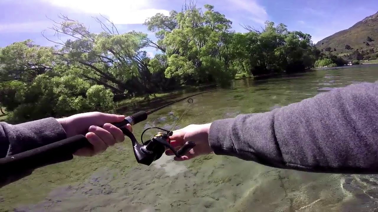 Queenstown Trout Fishing Lake Wakatipu YouTube