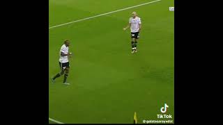 Ekinler Dize Kadar Fenercik Resimi