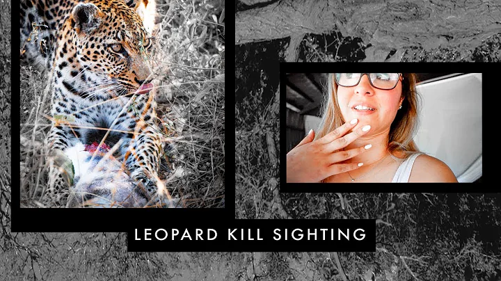 Graphic Leopard Kill! | Umlani Bushcamp | South Af...