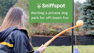 Renting A Private Dog Park For Off-Leash Fun