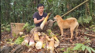 Robert goes to the forest to get bamboo shoots, Survival Instinct, Wilderness Alone (ep148)