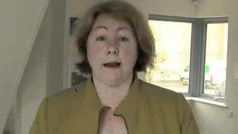 Deborah Pullen talks about INSITE11 events